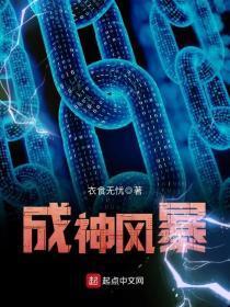 成神风暴txt采墨