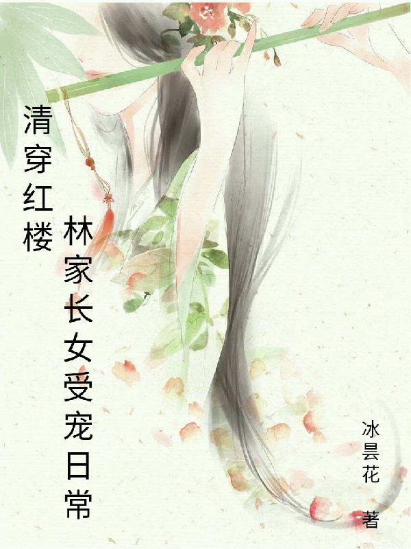 清穿红楼林家林小