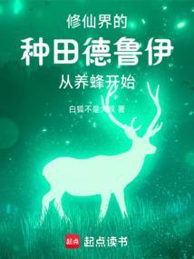 德鲁伊走什么路线好