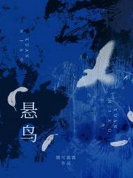 悬鸟by娜可露露讲了什么