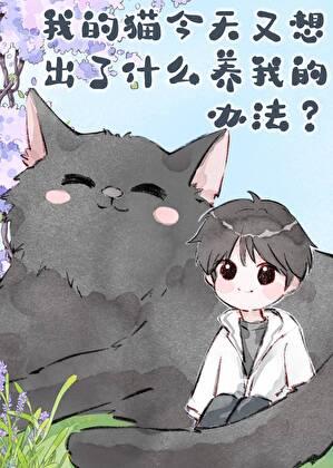我家的猫呢