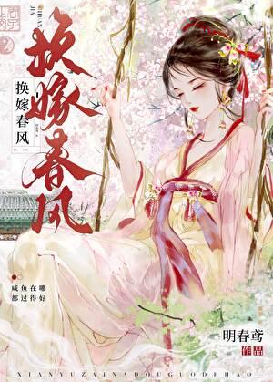 换嫁春风 晋江