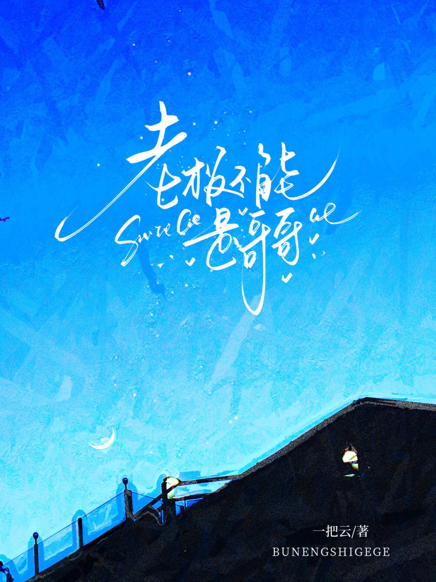 老板不可以这是公司