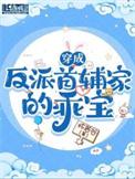 穿成首辅家的小野猫晋江文学城