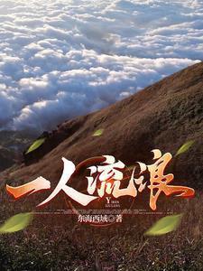 一人流浪在远方原唱