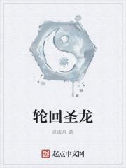 轮回圣典攻略
