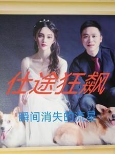 仕途狂飙赤脚医生逆袭之路完整版全文免费阅读