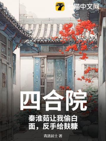 四合院棒梗日秦淮茹
