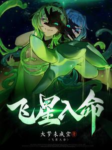 飞星是什么意思