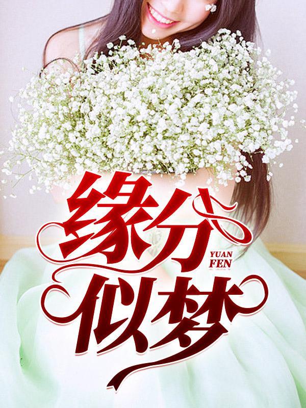 缘分似梦无弹窗全文阅读
