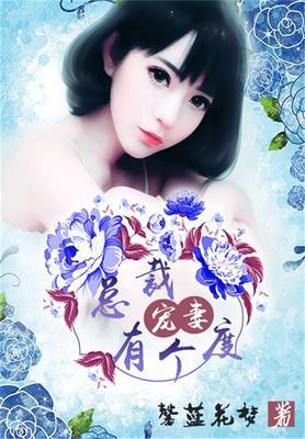 总裁宠妻有点甜全文阅读