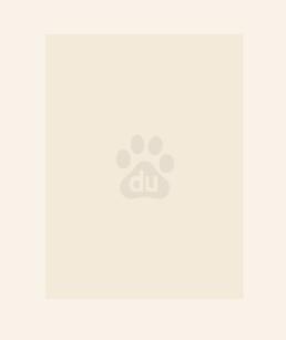 绝世炼丹师等级