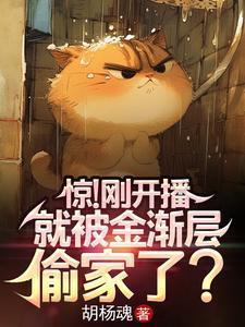 金渐层家猫