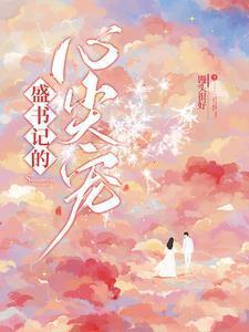 盛书记的心尖宠晋江