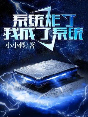 系统炸了我成了系统txt