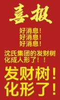 发财树是吉祥物吗