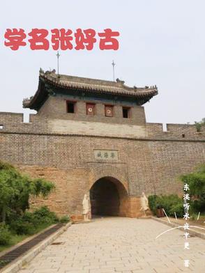 张好好诗书法特色