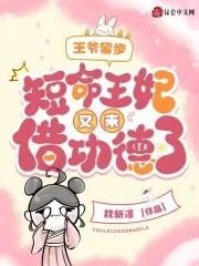 王爷王妃流产了