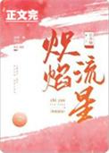 炽焰流星番外txt