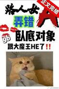 路人女a弄错卧底对象了 番外苟戈里