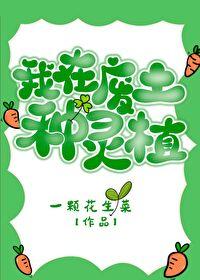 我在废土那些年txt