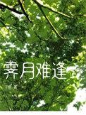 霁月难逢by子鹿番外免费阅读