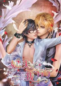 姐夫我也可以的