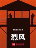 烈风剑翼vs圣盾双龙