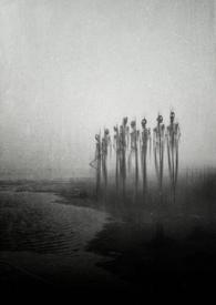 变异人系列电影