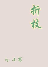 阴差阳错1v1折枝