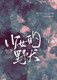 少女的野犬曲小