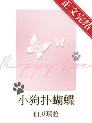 小狗扑蝴蝶短剧