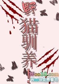 野猫驯养by魏承泽