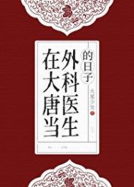 在大唐当外科医生的日子TXT