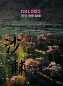 沙棘的功效作用与主治