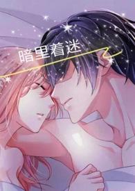 暗里着迷歌词表达什么意思