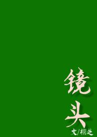 镜头校园h文