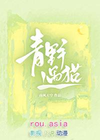 青野遇猫by南风天空