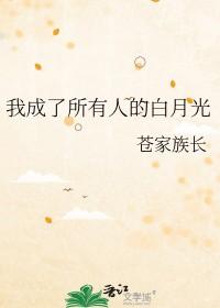 我成了所有人趋之若鹜的宝物