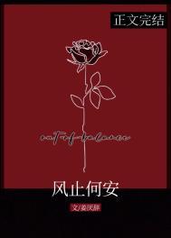 风止何安歌曲