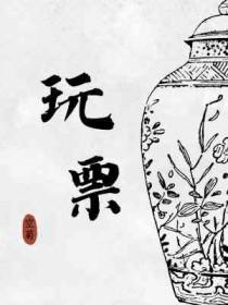 玩票txt