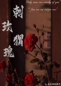 刺猬玫瑰(高干)npc