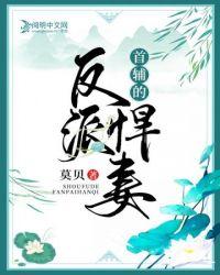 首辅的反派悍妻免费