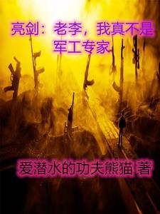 我真不是军工专家 第88章