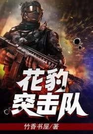 花豹突击队第二部全集